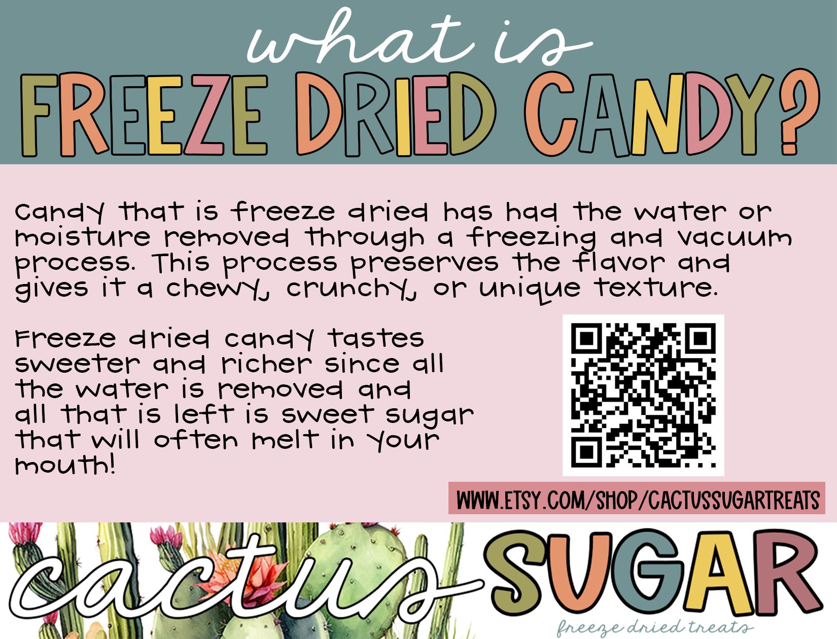 freeze dried fruit rolls - treats - freeze dried fruit - candy gift - unique gift idea - birthday gift - candy - freeze dried snacks